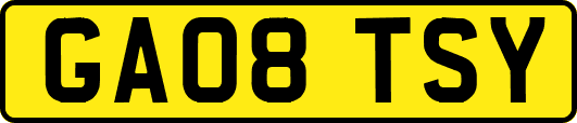 GA08TSY