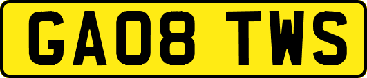 GA08TWS