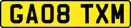 GA08TXM