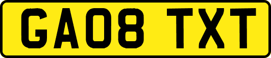 GA08TXT