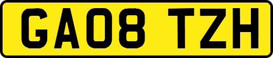 GA08TZH