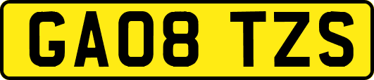 GA08TZS