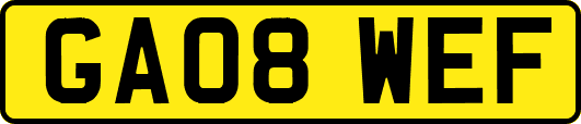 GA08WEF