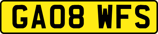 GA08WFS