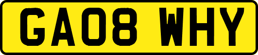 GA08WHY