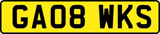 GA08WKS