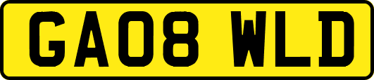 GA08WLD
