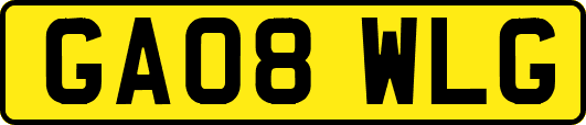 GA08WLG