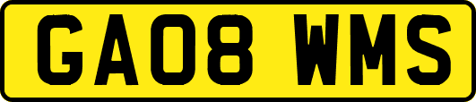 GA08WMS