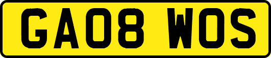 GA08WOS