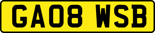 GA08WSB