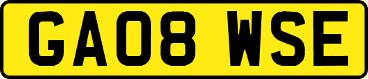 GA08WSE