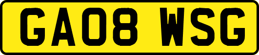 GA08WSG