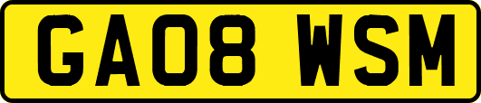 GA08WSM