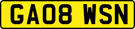 GA08WSN