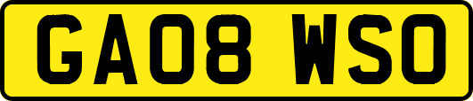 GA08WSO