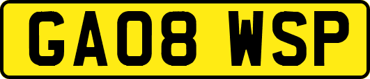 GA08WSP