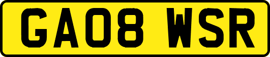 GA08WSR