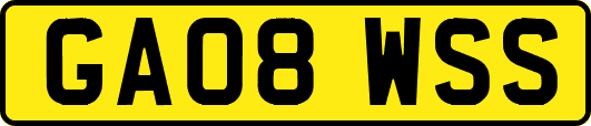GA08WSS