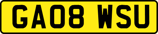 GA08WSU