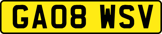 GA08WSV