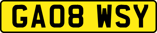 GA08WSY