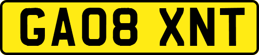 GA08XNT