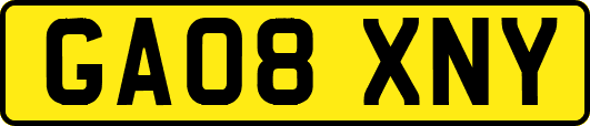 GA08XNY