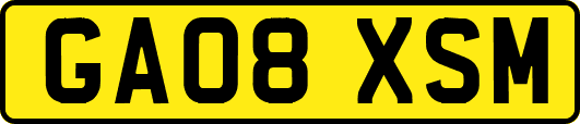 GA08XSM