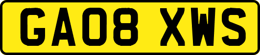 GA08XWS