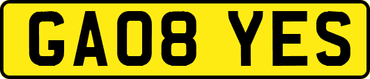 GA08YES