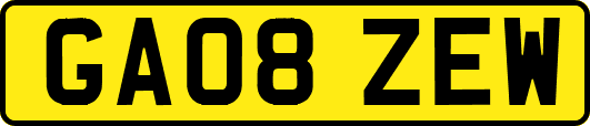 GA08ZEW