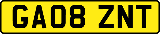 GA08ZNT
