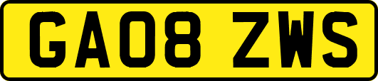 GA08ZWS