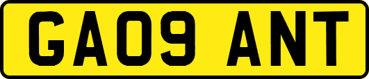 GA09ANT
