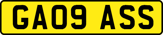 GA09ASS