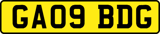 GA09BDG
