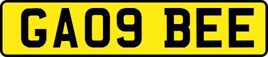 GA09BEE