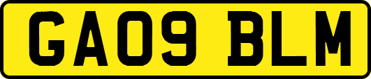 GA09BLM