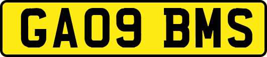 GA09BMS