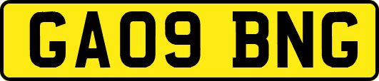 GA09BNG