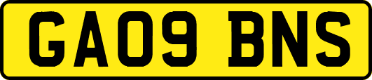 GA09BNS