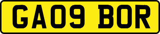 GA09BOR