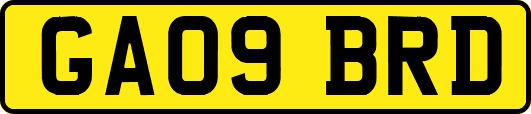 GA09BRD