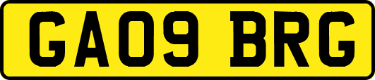 GA09BRG