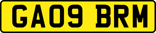 GA09BRM