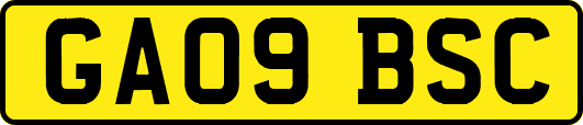 GA09BSC