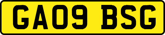 GA09BSG