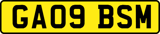GA09BSM