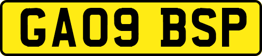 GA09BSP